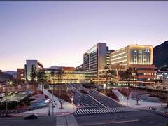 14. Don’t say Sorry