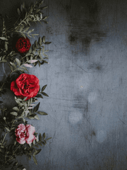 드림주 프로필 & tmi 모음