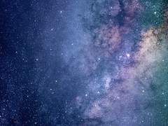 걸어선 안 되는 전화