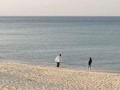 우리들의 작은 喜怒哀樂 [마감]