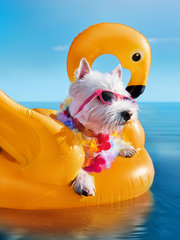 김몬드가 작품 관련 이야기를 하는 공간