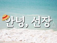 원피스 [루피 해군 9]