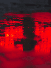 네버다이슈퍼스타