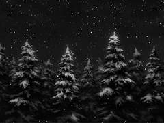 [알파레이] 사랑의 종말