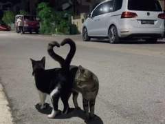 아니에요 날라리