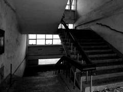 9. 책과 그림과 거울