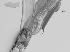 ˙˖°📷 ༘ || 화반 개인공지