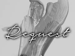 ˙˖°📷 ༘ || 화반 𝙍𝙚𝙦𝙪𝙚𝙨𝙩