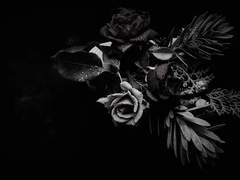 아, 이것은 사랑이 사람을 노래하는 이야기.