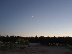 [신카이] 푸른 장미로 모든 게