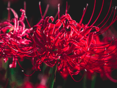 성장하여 다시 볼 수 없을 아이에게 이별을 고하고