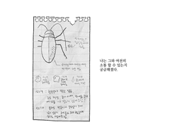 그레이 헌트의 실종