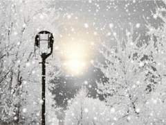 재미없다면 이 자리에서 끝까지 가 보자