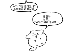 (리퀘) 11월 4주(논컾)