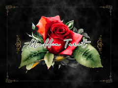 [스프레드 목록] ✲ 성인 전용 고수위 타로 ✲