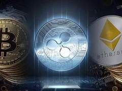 Which Crypto is Better?