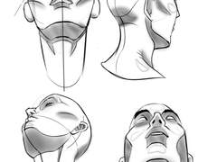 2023년 11월 25일 (토) <해부학>