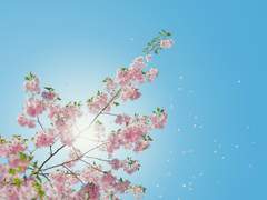 청춘을 맺어라 02