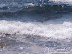 하루하루소중하게