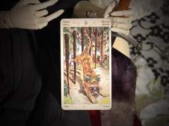 이번 주의 카드: 6 of Wands