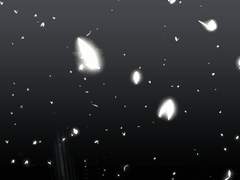 달링은 전직 양키 30