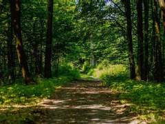 어느 도망자의 낙원