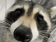 [ 도리벤 드림 / 범천 드림 ] 저희는 가좆같은 사이에요! (2)