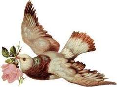 다니엘, 노인네가 아닌 이에게.