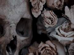 청춘이 푸르다는 말은 거짓말이다.