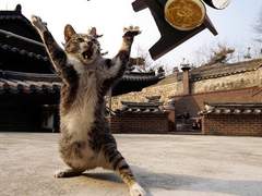 서울 먹을게 있기는 한 거야?