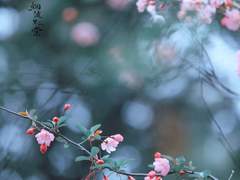 천수아|XX|우렁각시