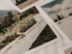 [로이요르] 당신이 내게 남긴 잔상은