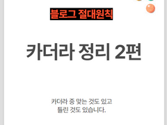 블로그 카더라에 대한 정리 -2편