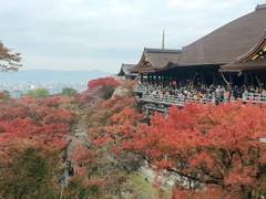 [DAY 226] 도도부현과 함께 춤을 (교토편)