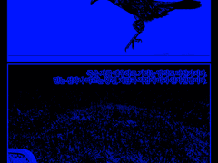 천보아 - 침묵의 님이여