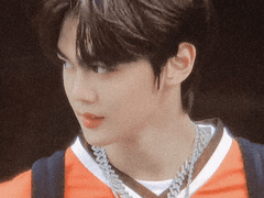 白馬非馬의 유전 히스테리시스