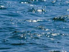 7월의 바다에게