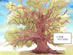 나무 이야기