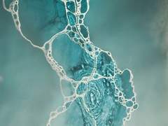 [느비예트 단독]체념을 닮은 조용한 사색