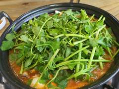 [DAY 223, 224, 225] 내한(下)