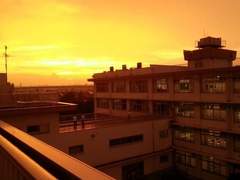 죄다 구원이었다