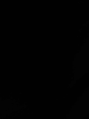 신인 아이돌은 건들면 안돼죠!