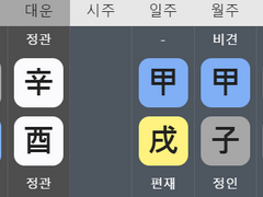 자신의 분야를 잘 찾아간 사주 (feat. 데이식스 영케이)