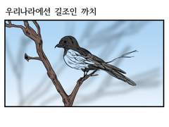 '쟤처럼 살지 말아야지'의 '쟤'를 맡고 있습니다.