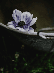 RHG 소설 : 소낙비