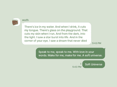 Double Color 03 개별구매 | 아이폰 카톡테마 유료