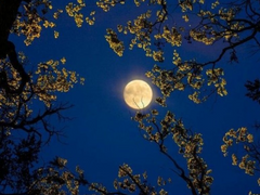 안녕하세요. 데스파라도스입니다!