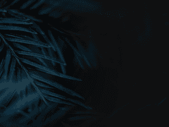 [이누야샤 드림] 갑자기 셋쇼마루가 어려진다면...?