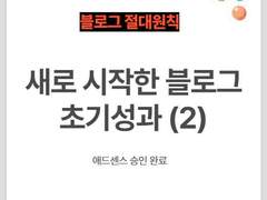 새로 시작한 블로그 초기 성과 공개 (2)