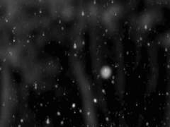 타인의 희극 Prologue